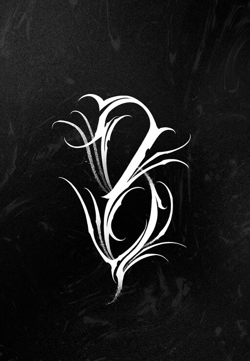 LnkBio profile picture for @dock