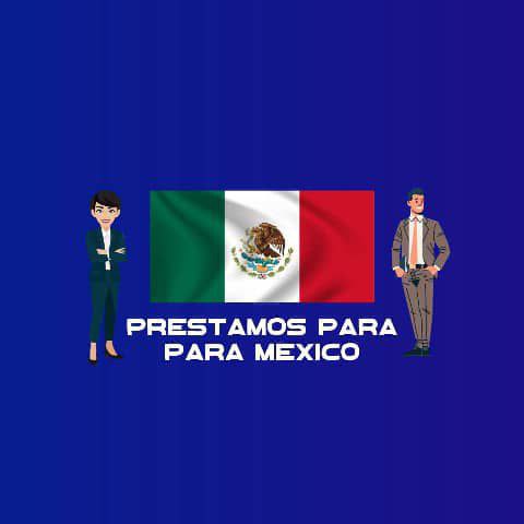 solicitar Lnk.Bio · link in bio