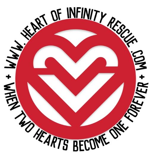 @Heart of Infinity Rescue Profile Picture