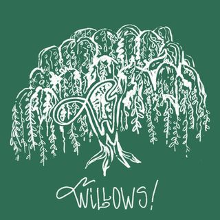 @willowsmpls Profile Picture