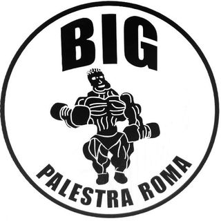 @big_palestra Profile Picture