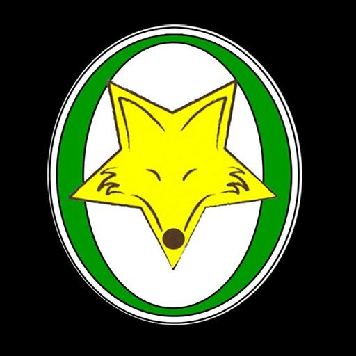 @old_fox_milano Profile Picture