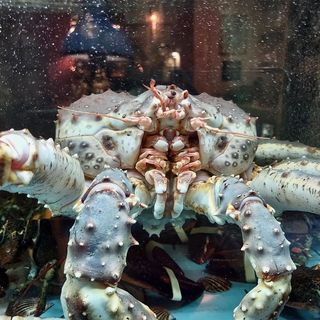 @ristorante_ilpescatore_bo Profile Picture