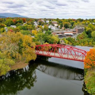 @saugertiesnewyork Profile Picture