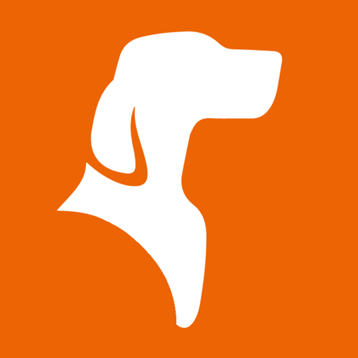 @doglive_messe Profile Picture
