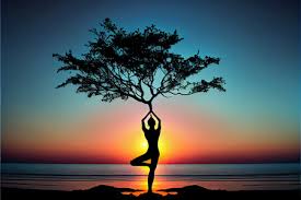 @Sanskar Yogshala in Rishikesh Profile Picture