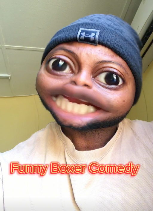 @Funny Boxer Comedy Profile Picture