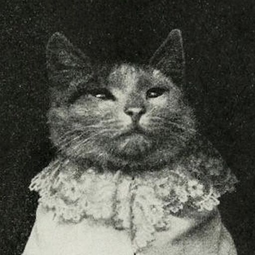 @autentistisk - en autists perspektiv Profile Picture