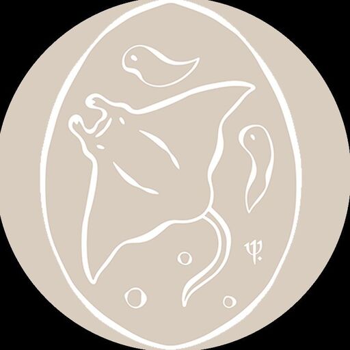@clubmedkani Profile Picture