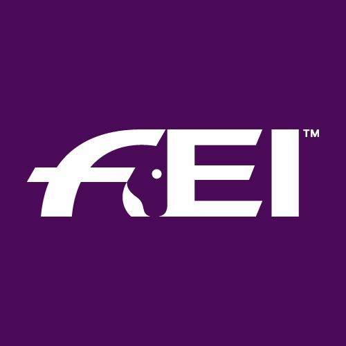 @fei_horse_world Profile Picture