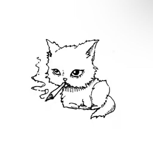 LnkBio profile picture for @soupy