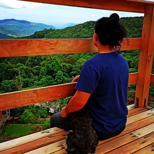 @luizfilipebaker Profile Picture