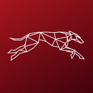 LnkBio profile picture for @dogfinance