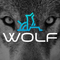@Grupo Wolf Profile Picture