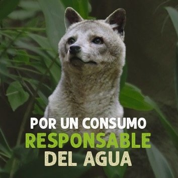LnkBio profile picture for @seguridad_bogota