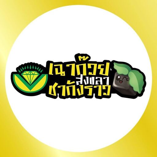 @Chakungraosongkhla Profile Picture