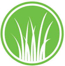 @ecobean Profile Picture