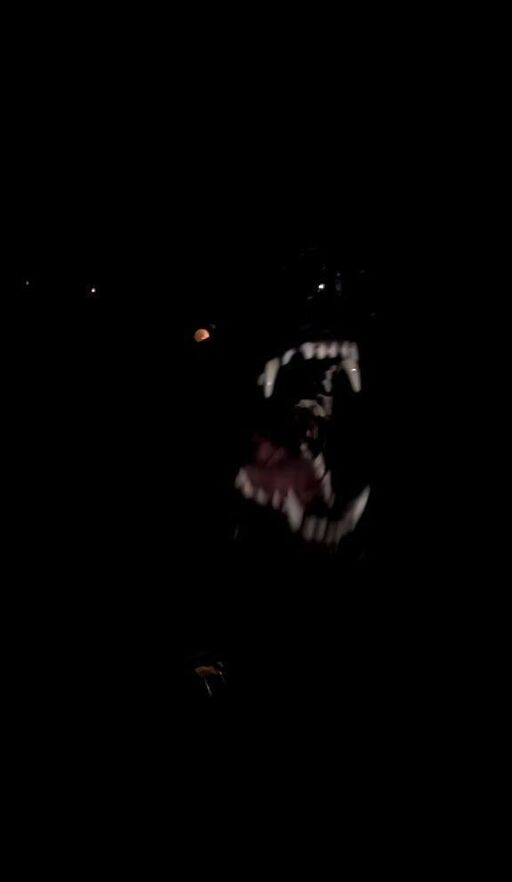 @sharkystary Profile Picture