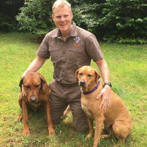 @lukegamblevet Profile Picture