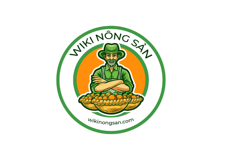 @wikinongsancom Profile Picture