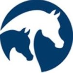 @arabianhorseassoc Profile Picture