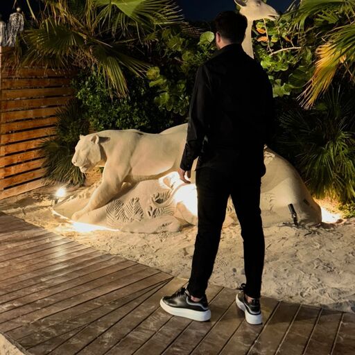 LnkBio profile picture for @mehmet