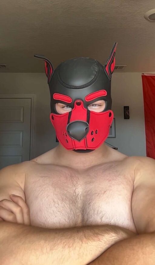 @AtlassMusclepup Profile Picture