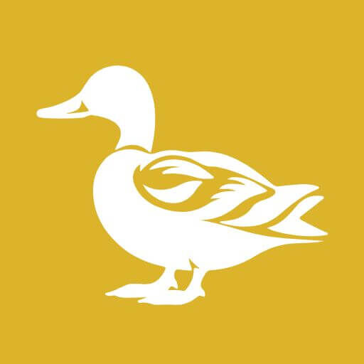 @Digiankka.fi Profile Picture