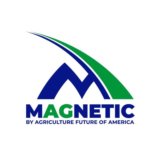 @magnetic.ag Profile Picture