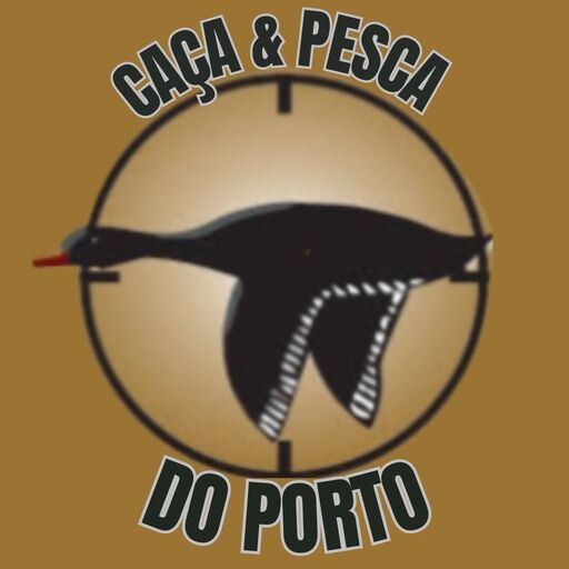 @pescadoporto Profile Picture