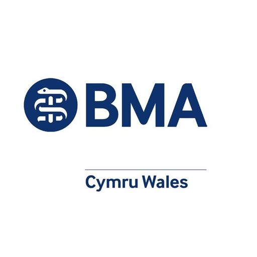 @bmacymru Profile Picture
