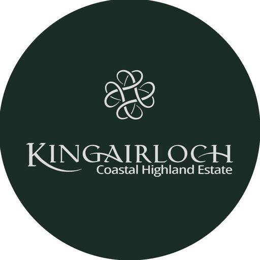 @kingairloch Profile Picture