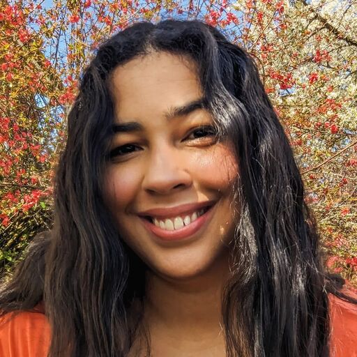 @thestorywanderer Profile Picture