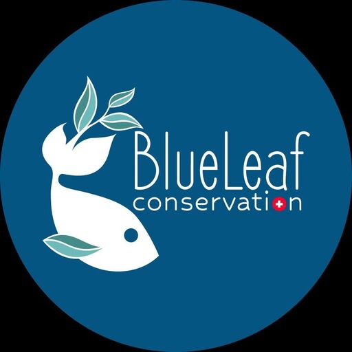 @blueleafconservation Profile Picture
