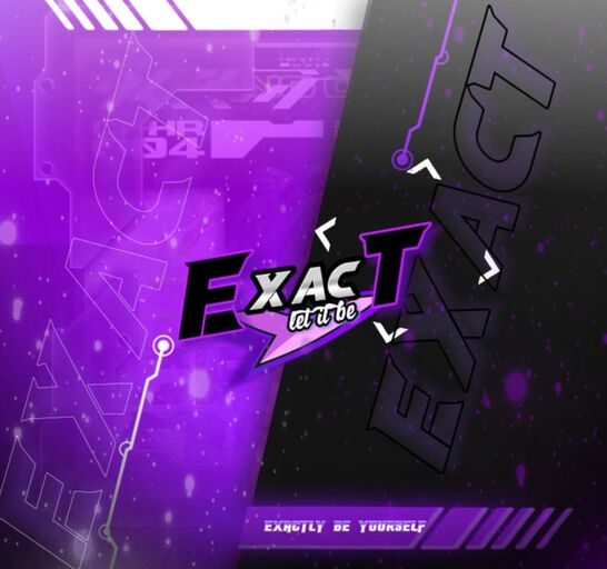 LnkBio profile picture for @exact