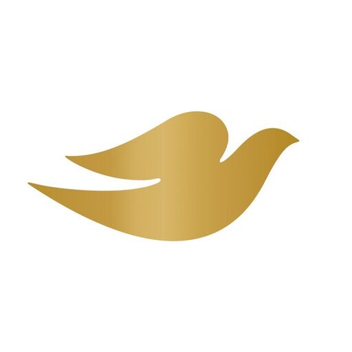 @dovebrasil Profile Picture