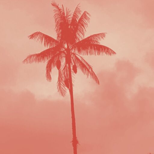 @lulodestinos Profile Picture