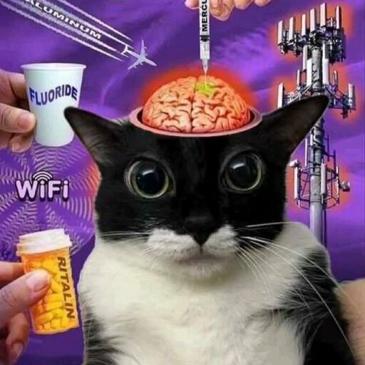 @_lytex Profile Picture