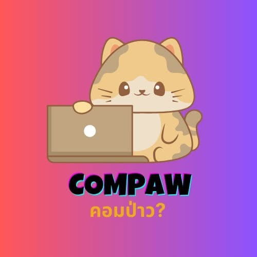 LnkBio profile picture for @beery