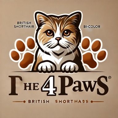 @the_four_paws Profile Picture