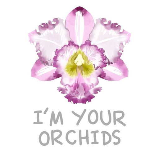 @imyourorchids Profile Picture