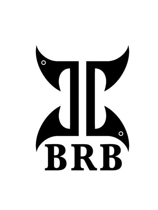 LnkBio profile picture for @barbarian
