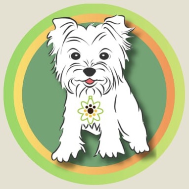 @DaisyCares Profile Picture