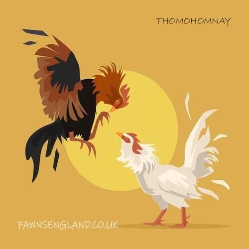 @thomohomnayfawn Profile Picture