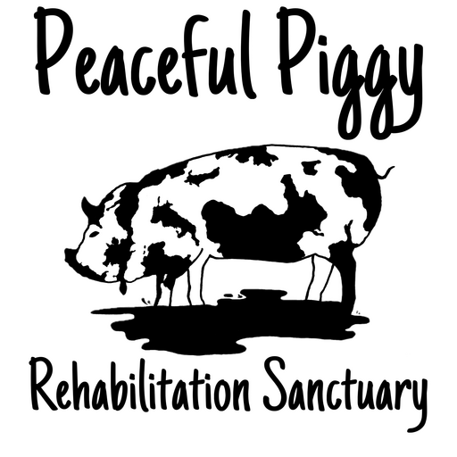 @www.peacefulpiggy.com Profile Picture