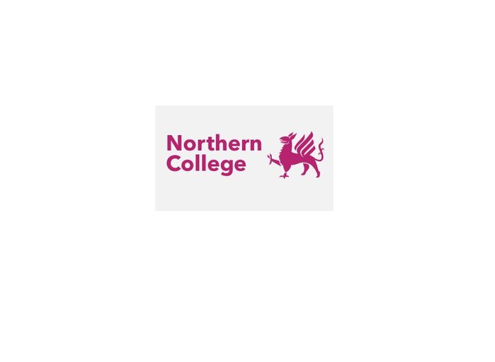 LnkBio profile picture for @northern