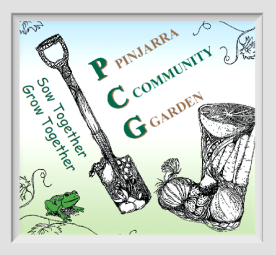 @PCG Website Profile Picture