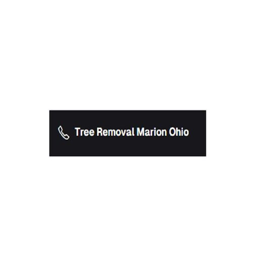 @Removalmarion0 Profile Picture