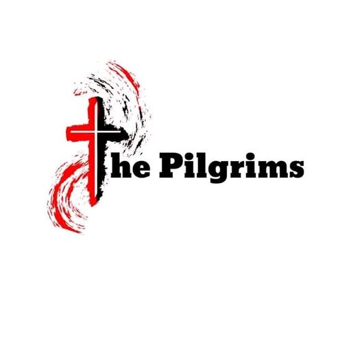 LnkBio profile picture for @pilgrims
