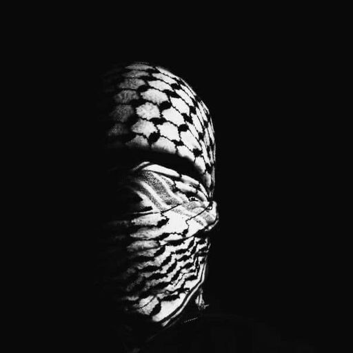LnkBio profile picture for @winks